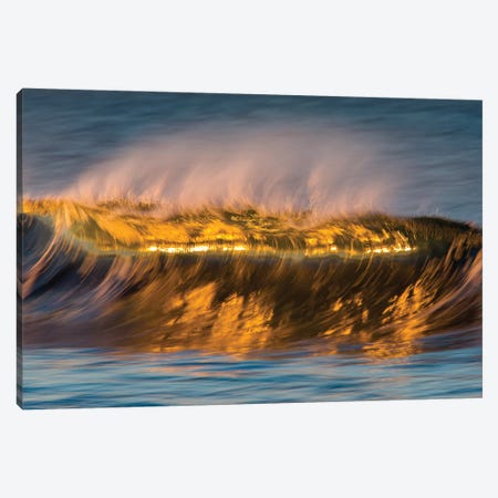 Glassy Golden Wave Canvas Print #ORI15} by David Orias Art Print