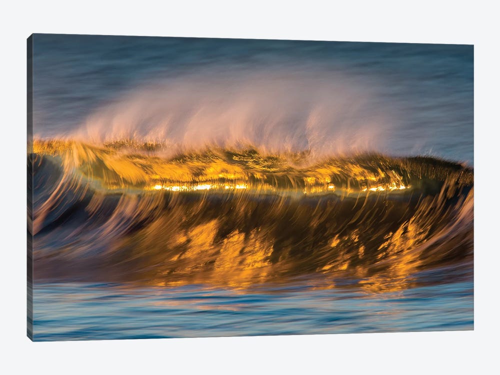Glassy Golden Wave by David Orias 1-piece Canvas Art