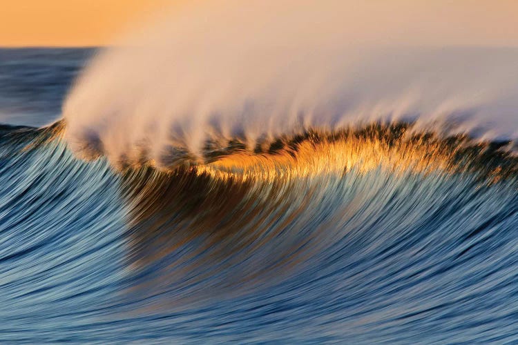 Golden Crest Wave