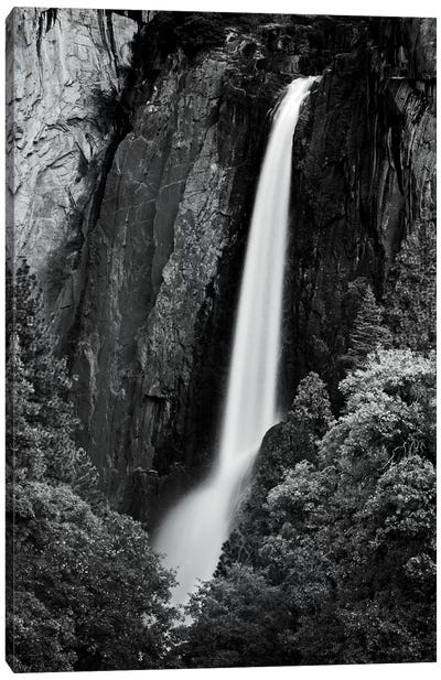 Lower Yosemite Falls Canvas Art Print - Black & White Scenic