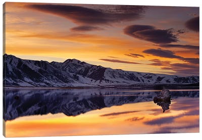 Mono Lake Sunset Canvas Art Print - David Orias