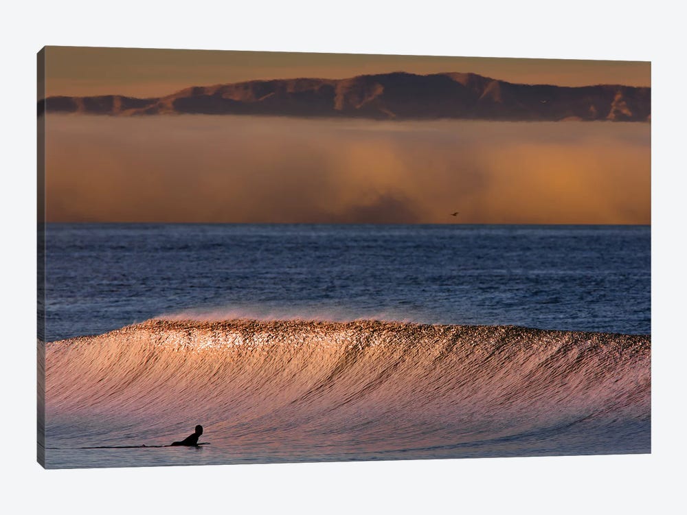 Surfer Wave and Fog by David Orias 1-piece Canvas Art
