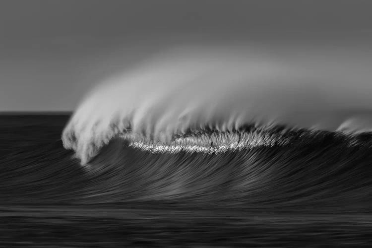 Wave Black and White