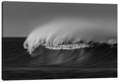 Wave Black and White Canvas Art Print - David Orias