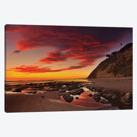 Califoria Beach at Sunset Canvas Print #ORI9} by David Orias Canvas Wall Art