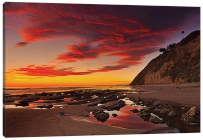 Califoria Beach at Sunset Canvas Art Print - David Orias