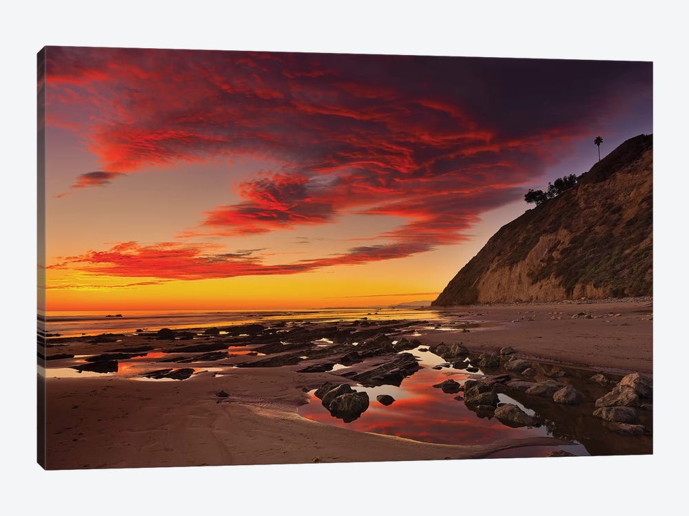 Califoria Beach at Sunset by David Orias 1-piece Canvas Art
