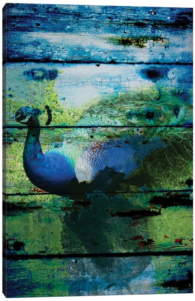 Peacock I Canvas Art Print - Peacock Art