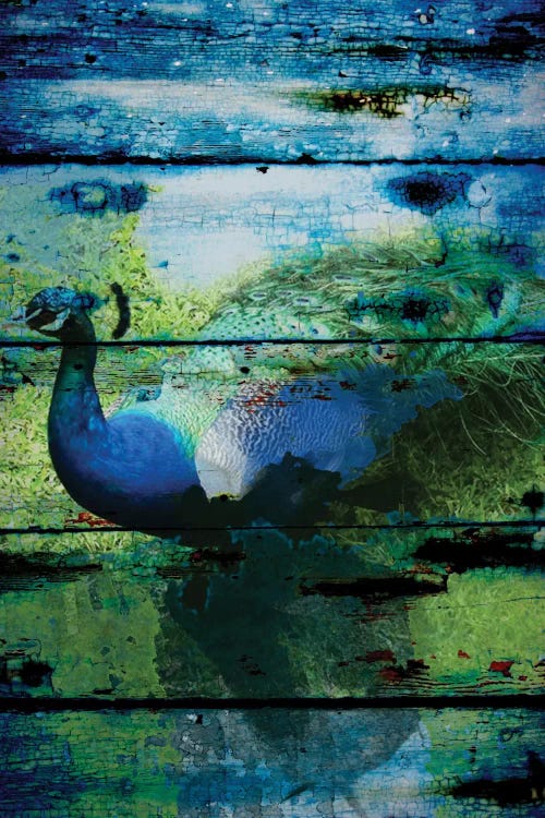 Peacock I by Irena Orlov wall art