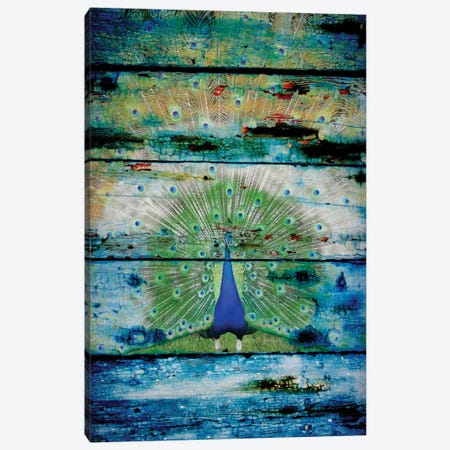 Peacock II Canvas Print #ORL106} by Irena Orlov Canvas Wall Art