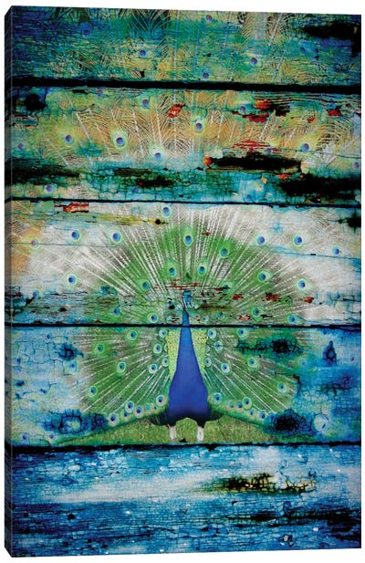 Peacock II Canvas Art Print - Irena Orlov