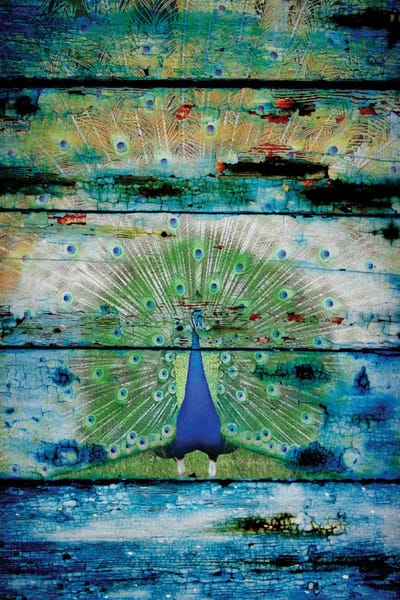 Peacocks: Peacock II by Irena Orlov