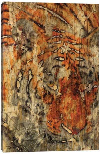 Sumatran Tiger Canvas Art Print - African Heritage Art