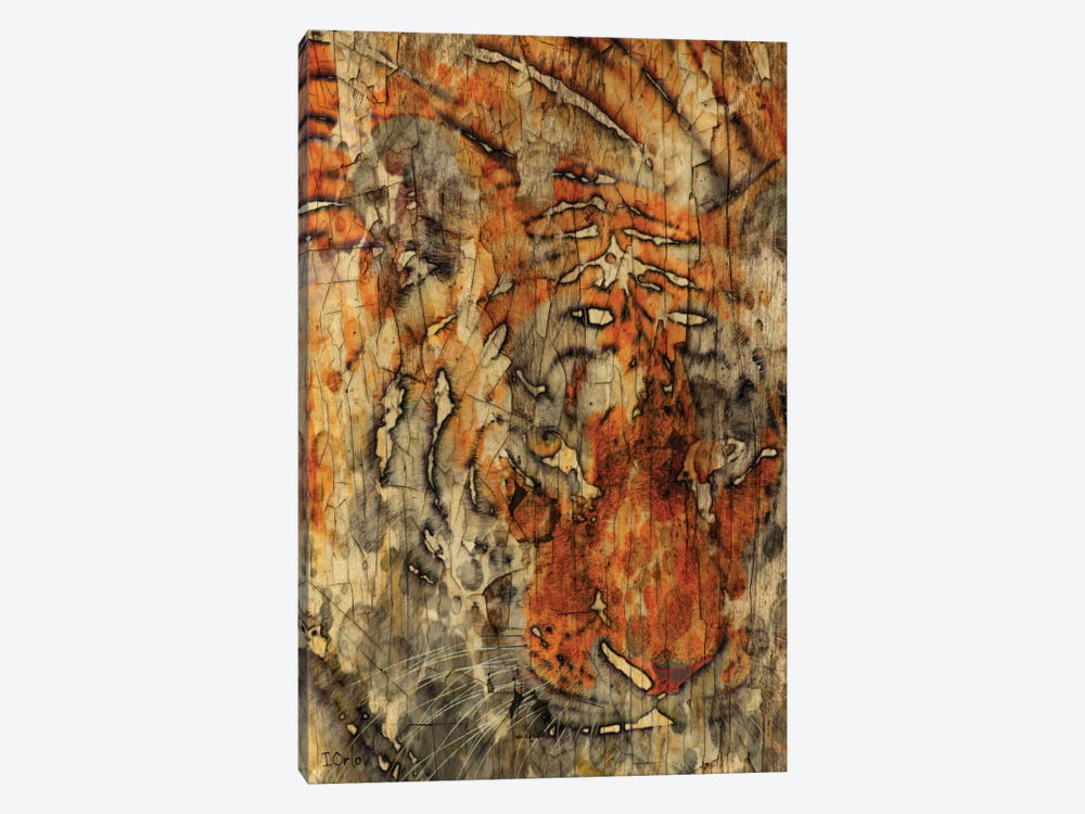 Sumatran Tiger by Irena Orlov 1-piece Canvas Print
