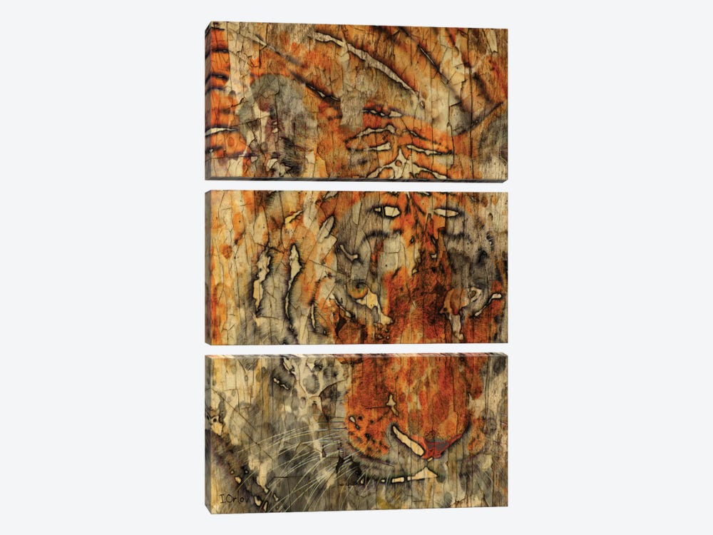 Sumatran Tiger by Irena Orlov 3-piece Art Print