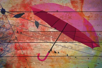 Summer Day II by Irena Orlov framed wall art