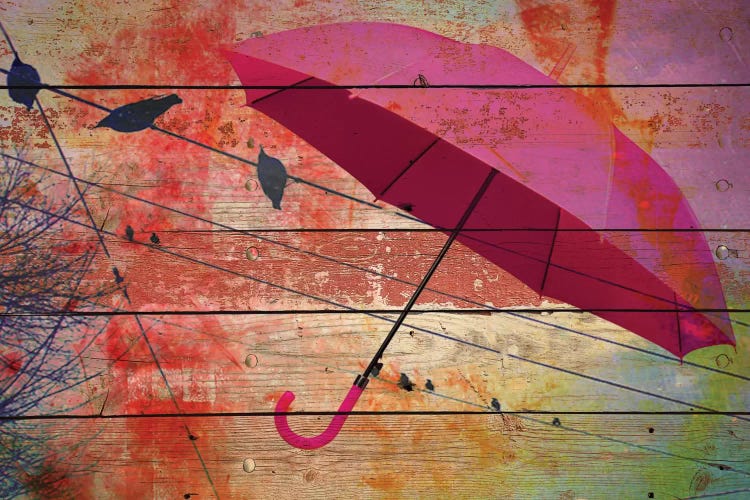 Summer Day II by Irena Orlov wall art