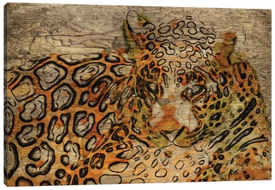 WILD Canvas Art Print - Wild Cat Art