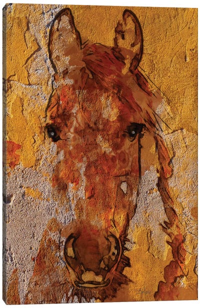 Yellow Horse Canvas Art Print - Rustic Décor