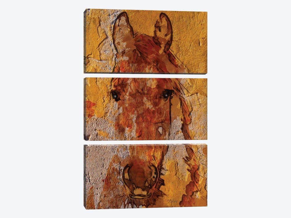 Yellow Horse 3-piece Art Print