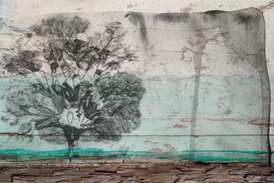 A Clear Transfer by Irena Orlov framed wall art