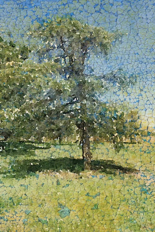 A Summer Afternoon by Irena Orlov wall art