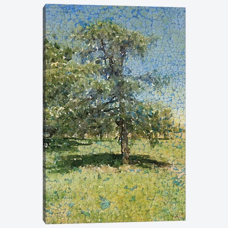A Summer Afternoon Canvas Print #ORL123} by Irena Orlov Canvas Print