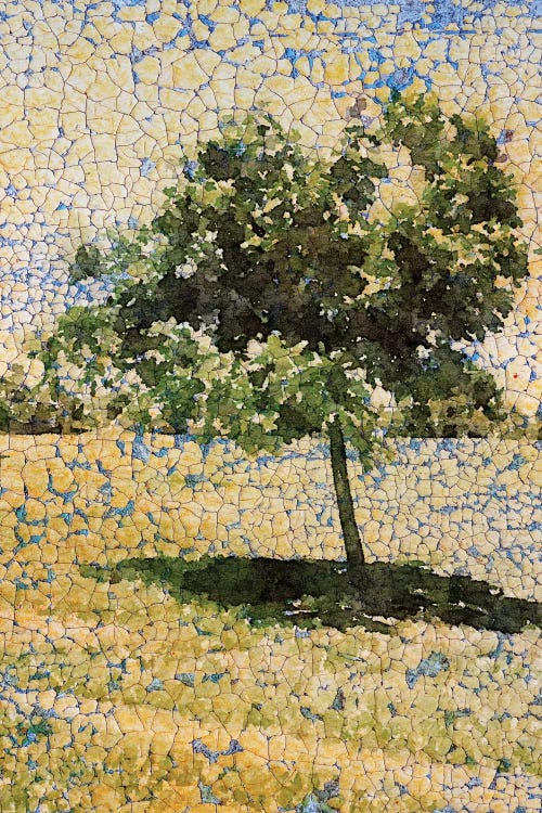 A Sunny Day by Irena Orlov wall art