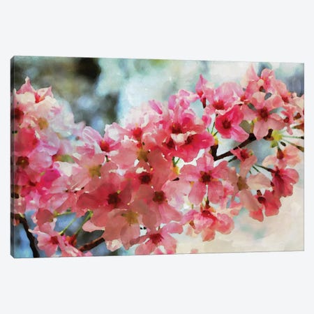Cherry Flowers III Canvas Print #ORL126} by Irena Orlov Canvas Wall Art