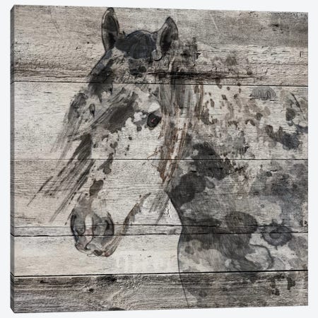 Dark Grey Horse Canvas Print #ORL128} by Irena Orlov Canvas Art Print