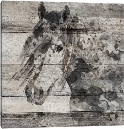 Dark Grey Horse Canvas Art Print