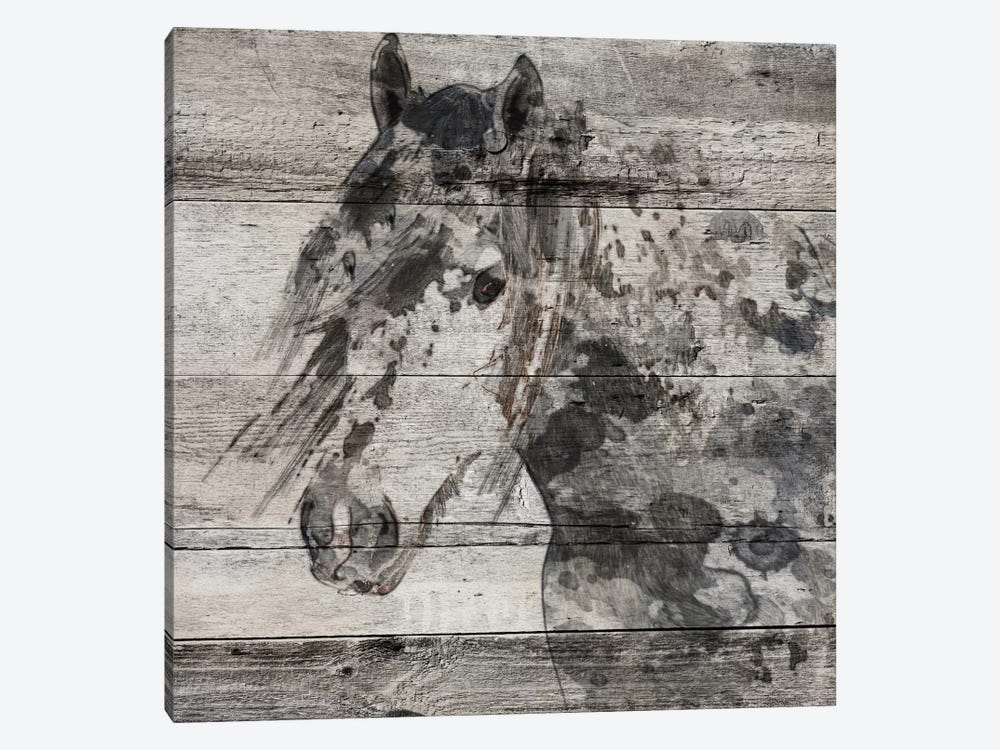Dark Grey Horse by Irena Orlov 1-piece Canvas Art
