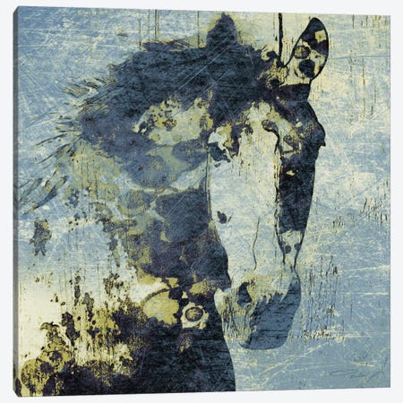 Gorgeous Horse V Canvas Print #ORL130} by Irena Orlov Canvas Art