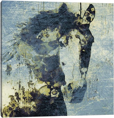 Gorgeous Horse V Canvas Art Print - Horse Art