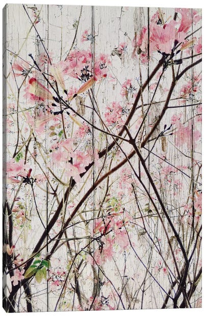 Here's The Spring Canvas Art Print - Cherry Blossom Art