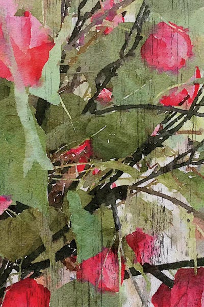 Nature Bea II by Irena Orlov framed wall art