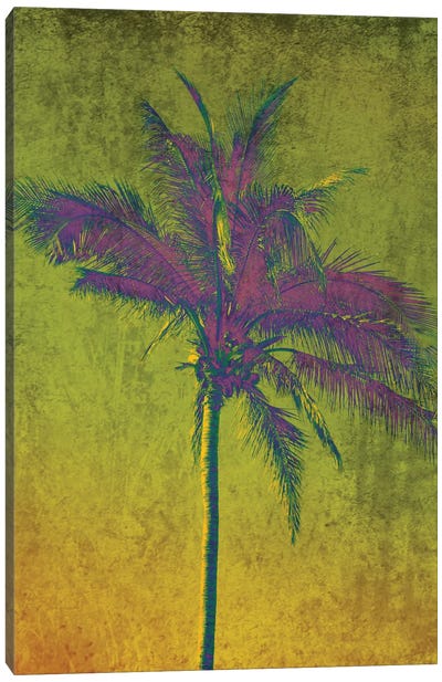 Purple Palm On Green Canvas Art Print - Irena Orlov