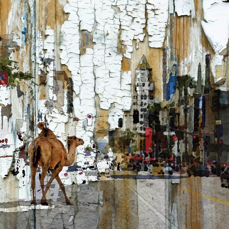 Camel In The City