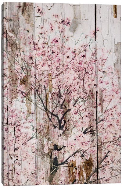 Spring Flowers II Canvas Art Print - Blossom Art
