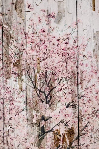 Modern Farmhouse Living Room: Spring Flowers II by Irena Orlov