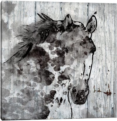 Winter Horse Canvas Art Print - Color Palettes