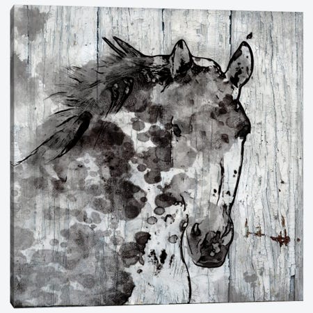 Winter Horse Canvas Print #ORL144} by Irena Orlov Canvas Art