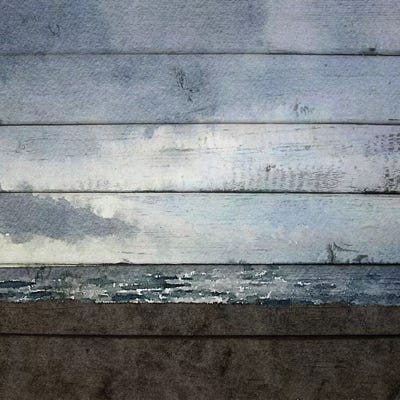 Winter Shadows by Irena Orlov framed wall art