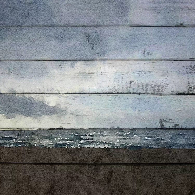 Winter Shadows by Irena Orlov wall art