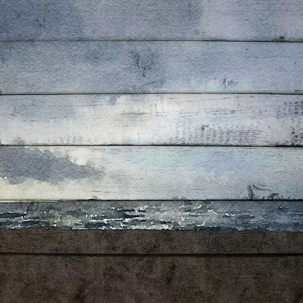 Irena Orlov: Winter Shadows by Irena Orlov