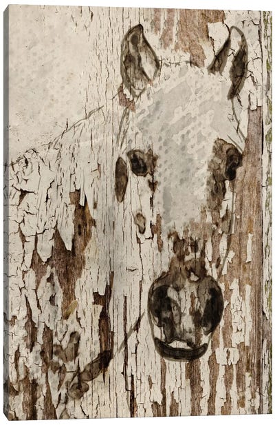 Champagne Horse Canvas Art Print - Modern Farmhouse Décor