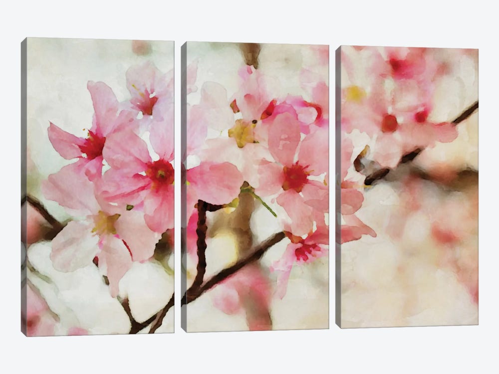 Cherry Flowers I by Irena Orlov 3-piece Canvas Art
