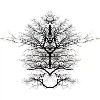 Infinite Complexity by Irena Orlov framed wall art