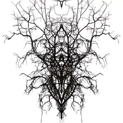 Self-Similarity by Irena Orlov canvas print