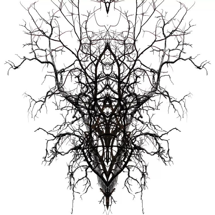 Self-Similarity by Irena Orlov wall art